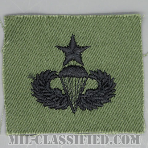 空挺章 (シニア)（Parachutist Badge, Senior）[サブデュード/1960s/コットン100％/パッチ/1点物]の画像