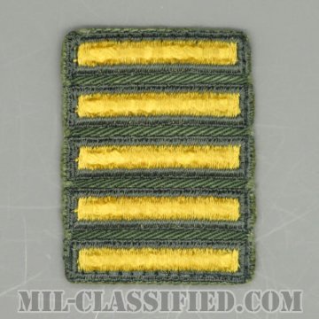 海外勤務(派遣)章 5連(勤続2年6ヶ月)（Overseas Service Bar）[カラー（グリーン）/カットエッジ/男性用/パッチ/中古1点物]の画像