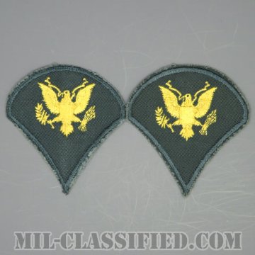 特技兵 (SP4)（Specialist 4）[カラー（グリーン）/男性用/カットエッジ/階級章（1959-）/パッチ/中古1点物（ペア2枚1組）]の画像