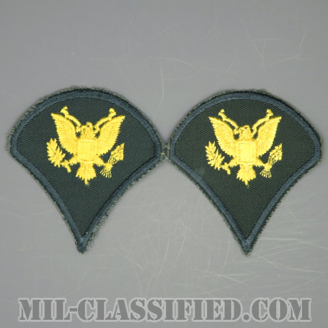 特技兵 (SP4)（Specialist 4）[カラー（グリーン）/男性用/カットエッジ/階級章（1959-）/パッチ/中古1点物（ペア2枚1組）]の画像