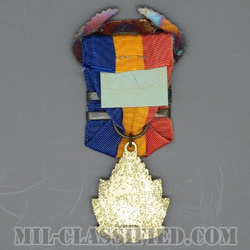 戦術航空軍団 射撃競技大会メダル（TAC, .45 National Match Course, Marksman Class 3rd）[メダル/1969/中古1点物]の画像