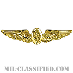 Aviation Warfare Psychologist [カラー/バッジ]の画像