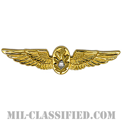 Aviation Warfare Flight Surgeon [カラー/バッジ]の画像