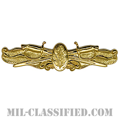 Surface Warfare Nurse Corps [カラー/バッジ]の画像