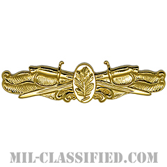 Surface Warfare Medical Service Corps [カラー/バッジ]の画像