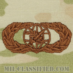 外国地域将校専門職業分野章 (ベーシック)（Foreign Area Officer (FAO) Career Field Badge, Basic）[OCP（3C）/ブラウン刺繍/パッチ]の画像