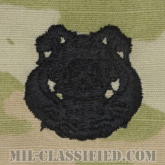 潜水員章 (1級)（Diver Badge, First Class）[OCP（3C）/パッチ]の画像