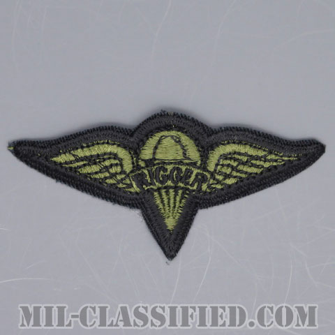 パラシュート整備士 (パラシュートリガー)（Parachute Rigger Badge）[サブデュード/カットエッジ/パッチ/1点物]の画像