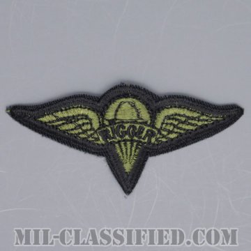 パラシュート整備士 (パラシュートリガー)（Parachute Rigger Badge）[サブデュード/カットエッジ/パッチ/1点物]の画像