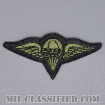 パラシュート整備士 (パラシュートリガー)（Parachute Rigger Badge）[サブデュード/カットエッジ/パッチ/1点物]の画像