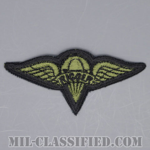 パラシュート整備士 (パラシュートリガー)（Parachute Rigger Badge）[サブデュード/カットエッジ/パッチ/1点物]の画像