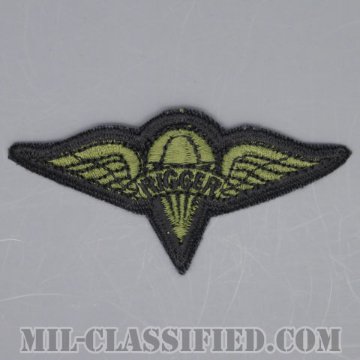 パラシュート整備士 (パラシュートリガー)（Parachute Rigger Badge）[サブデュード/カットエッジ/パッチ/1点物]の画像