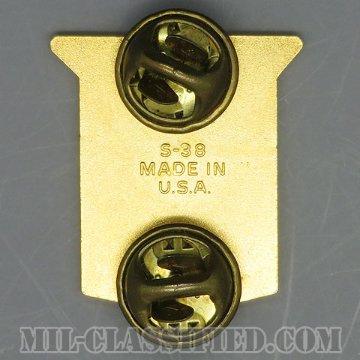 テキサス州 州兵（National Guard, Texas）[カラー/クレスト（Crest・DUI・DI）バッジ/中古1点物]の画像