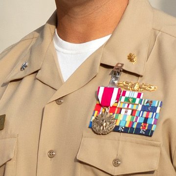 衛生業務科章（Medical Service Corps）[カラー/海軍襟用徽章/バッジ]の画像
