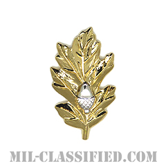 衛生科章（Medical Corps）[カラー/海軍襟用徽章/バッジ]の画像