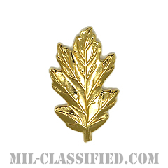 看護科章（Nurse Corps）[カラー/海軍襟用徽章/バッジ]の画像