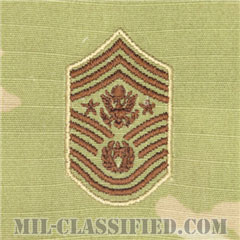 空軍最先任上級曹長（Chief Master Sergeant of the Air Force (CMSAF)）[OCP（3C）/空軍階級章/キャップ・チェスト用/縫い付けパッチ]の画像