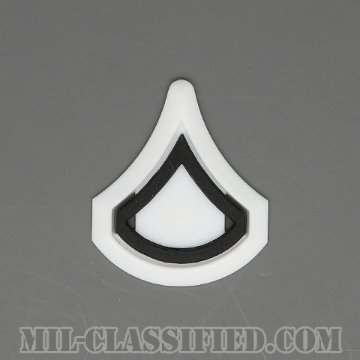 上等兵（Private First Class (PFC)）[サブデュード（ブラックメタル）/ホワイトバックプレート付/階級章/バッジ]の画像