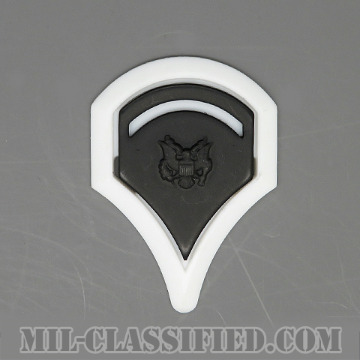 特技兵 (SP5)（Specialist 5）[サブデュード（ブラックメタル）/ホワイトバックプレート付/階級章/バッジ]の画像