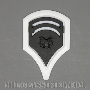 特技兵 (SP6)（Specialist 6）[サブデュード（ブラックメタル）/ホワイトバックプレート付/階級章/バッジ]の画像