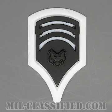 特技兵 (SP7)（Specialist 7）[サブデュード（ブラックメタル）/ホワイトバックプレート付/階級章/バッジ]の画像