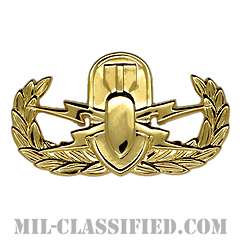 Explosive Ordnance Disposal (EOD), Basic, Officer（〜2006）[カラー/バッジ]の画像