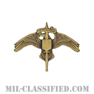 アメリカ海兵隊特殊作戦コマンド章（MARSOC）[カラー/燻し金/ミニサイズ/バッジ]の画像