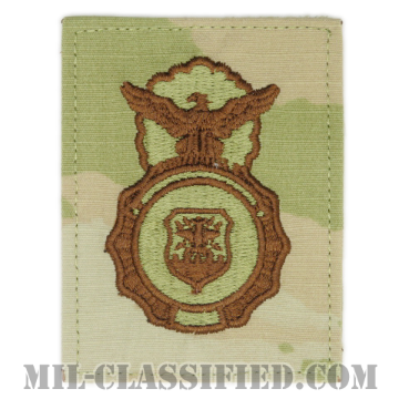 空軍警備隊章 (セキュリティーフォース・セキュリティーポリス)（Security Forces, Security Police Badge）[OCP（3C）/ブラウン刺繍/ベルクロ付パッチ]の画像