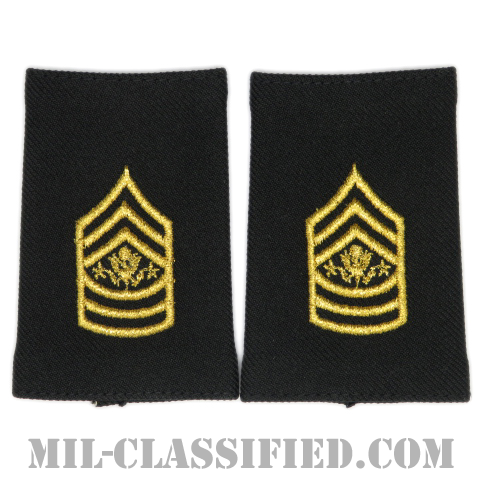 U.S. ARMY（アメリカ陸軍）商品一覧｜ミリタリーインシグニア専門店