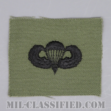 空挺章 (ベーシック)（Parachutist Badge, Basic）[サブデュード/1960s/コットン100％/パッチ/1点物]の画像