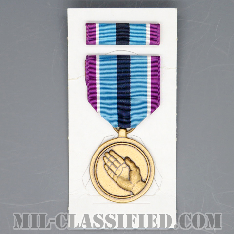 Humanitarian Service Medal [メダル（勲章・Medal）リボン（略綬・略章・Ribbon）セット]の画像