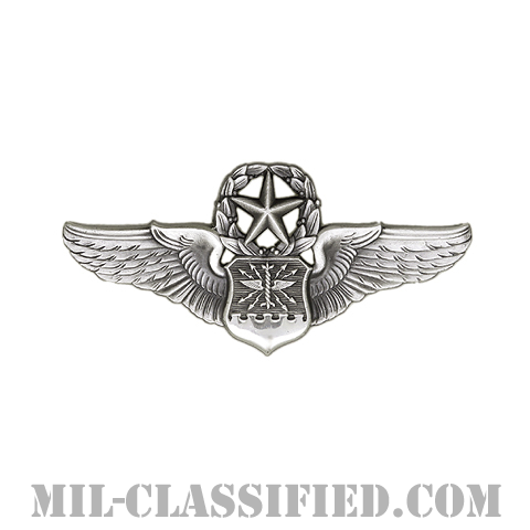 航空士章 (ナビゲーター・マスター)（Navigator/Observer Badge, Master）[カラー/燻し銀/ミニサイズ/バッジ]の画像