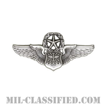 航空士章 (ナビゲーター・マスター)（Navigator/Observer Badge, Master）[カラー/燻し銀/ミニサイズ/バッジ]の画像