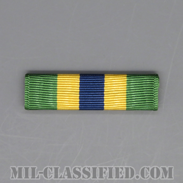 Texas National Guard Homeland Defense Service Medal [リボン（略綬・略章・Ribbon）]の画像