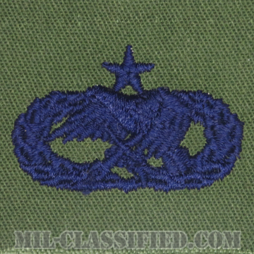 整備・弾薬章 (シニア)（Maintenance and Munitions Badge, Senior）[サブデュード/ブルー刺繍/パッチ]の画像