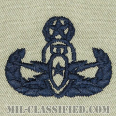 爆破物処理章 (マスター) （Explosive Ordnance Disposal (EOD), Badge, Master）[ABU/パッチ]の画像