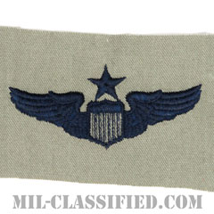 航空機操縦士章 (シニア・パイロット)（Air Force Senior Pilot Badge）[ABU/パッチ]の画像