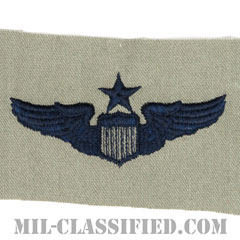 航空機操縦士章 (シニア・パイロット)（Air Force Senior Pilot Badge）[ABU/パッチ]画像