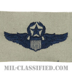 航空機操縦士章 (コマンド・パイロット)（Air Force Command Pilot Badge）[ABU/パッチ]画像