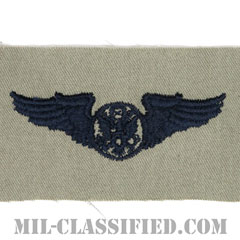 航空機搭乗員章 (下士官用エアクルー)（Air Force Enlisted Aircrew Badge）[ABU/パッチ]画像