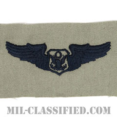 航空機搭乗員章 (将校用エアクルー)（Air Force Officer Aircrew Badge）[ABU/パッチ]の画像