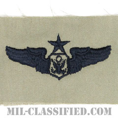 航空機搭乗員章 (将校用シニア・エアクルー)（Air Force Officer Senior Aircrew Badge）[ABU/パッチ]の画像