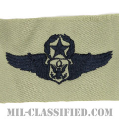 航空機搭乗員章 (将校用マスター・エアクルー)（Air Force Officer Master Aircrew Badge）[ABU/パッチ]の画像