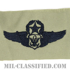 航空機搭乗員章 (将校用マスター・エアクルー)（Air Force Officer Master Aircrew Badge）[ABU/パッチ]画像