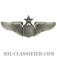 航空機操縦士章 (シニア・パイロット)（Air Force Senior Pilot Badge）[カラー/燻し銀/バッジ]画像