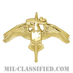 アメリカ海兵隊特殊作戦コマンド章（MARSOC）[カラー/バッジ]画像
