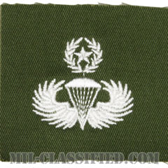 空挺章 (マスター)（Parachutist Badge, Master）[カラー/パッチ/レプリカ]の画像