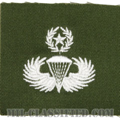 空挺章 (マスター)（Parachutist Badge, Master）[カラー/パッチ/レプリカ]画像