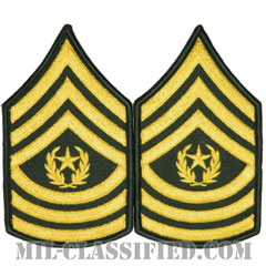 最先任上級曹長（Command Sergeant Major (CSM)）[カラー（グリーン）/メロウエッジ/階級章（男性用）/パッチ/ペア（2枚1組）]画像