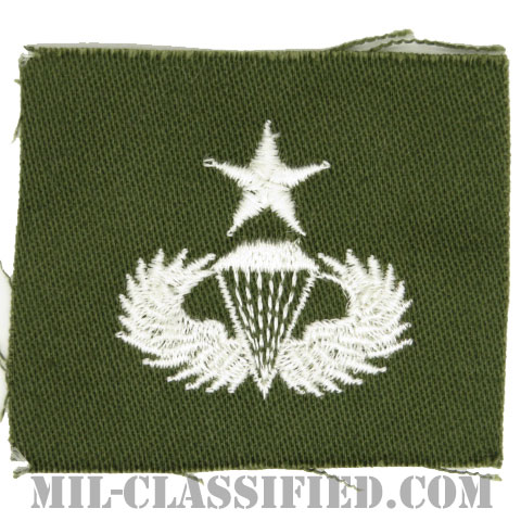 空挺章 (シニア)（Parachutist Badge, Senior, Senior）[カラー/パッチ]の画像